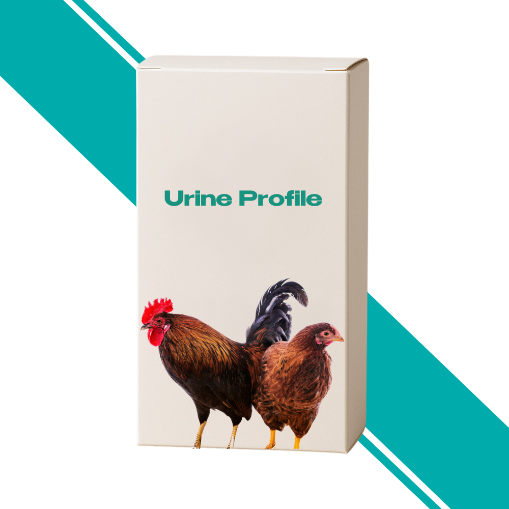 Urine Profile